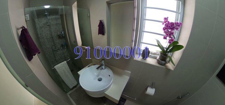 Tiong Bahru Estate (D3), Apartment #163325812